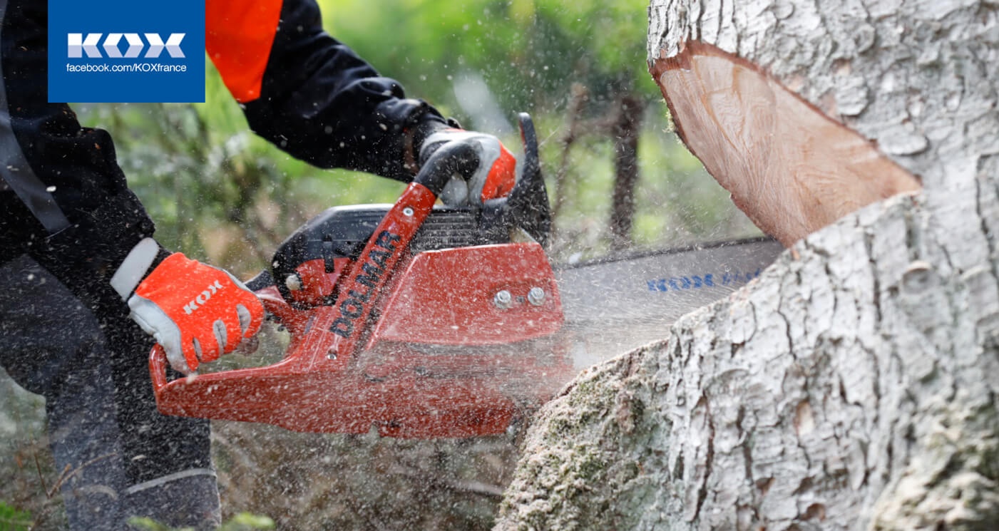 190903_KOX_Blog_September_FR_2-1