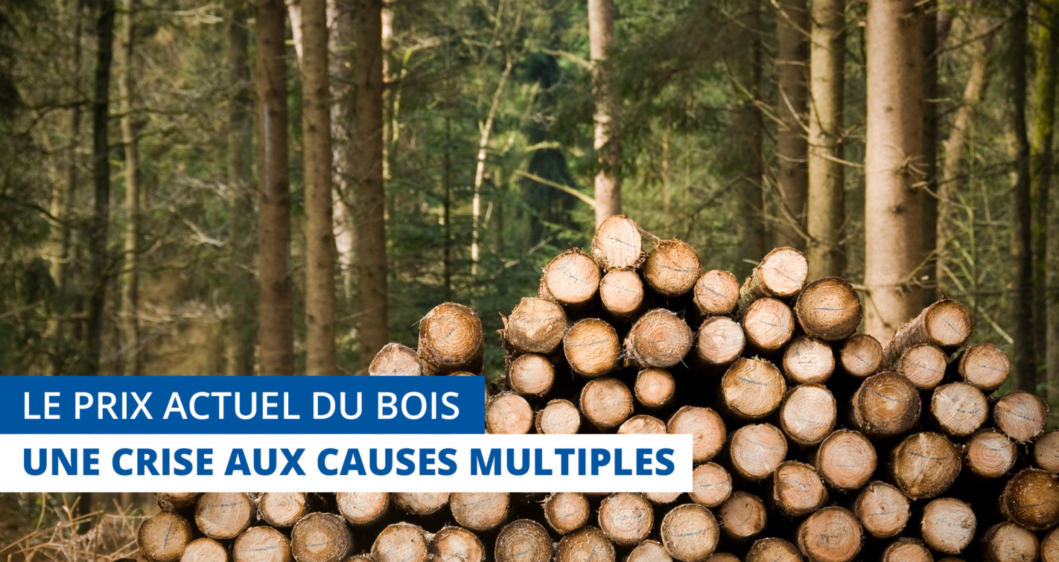 Le prix actuel du bois - une crise aux causes multiples