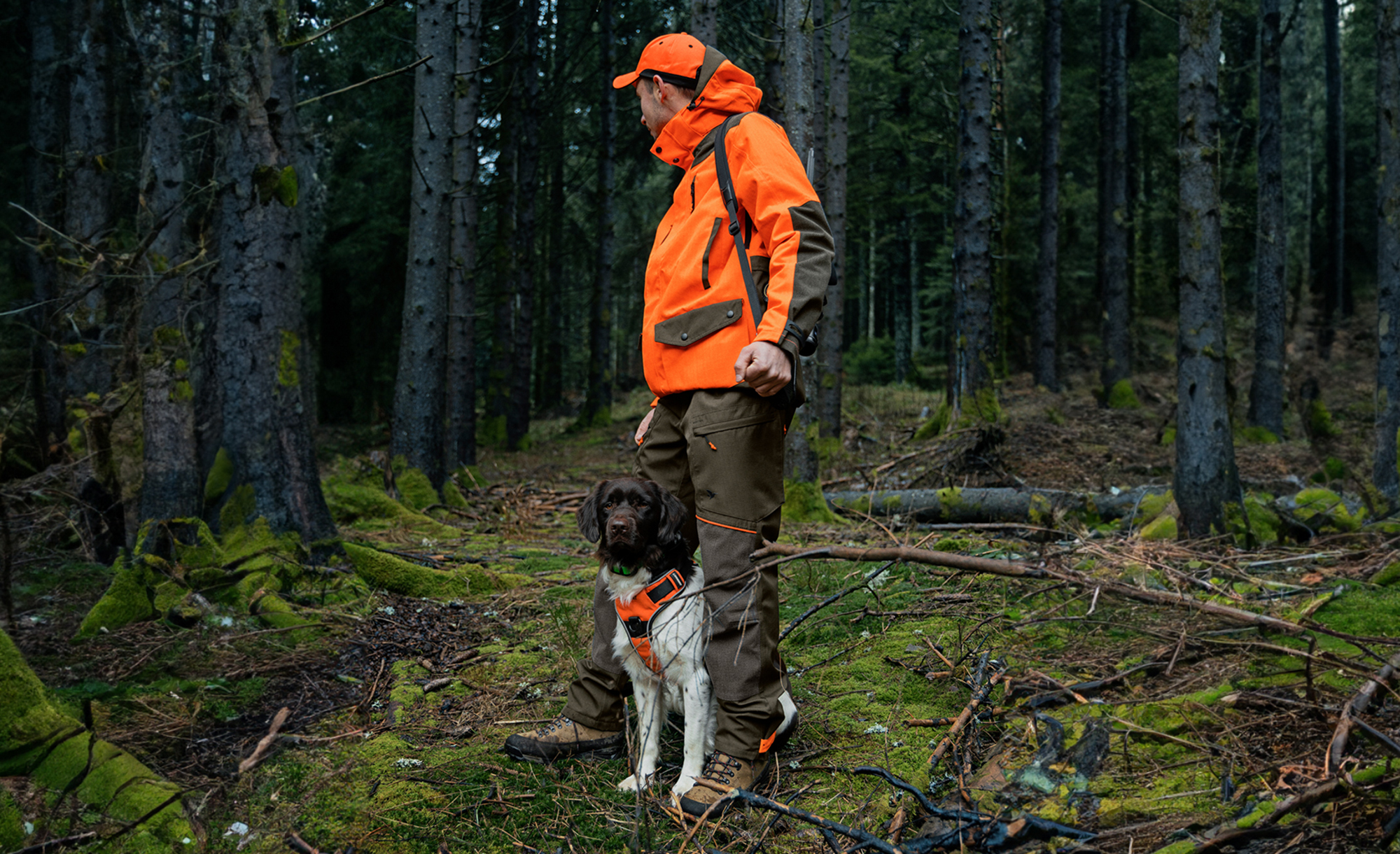 Un chasseur vtu d’orange et de marron se tient avec son chien dans une fort recouverte de mousse. Tous deux portent des gilets de signalisation pour une meilleure visibilit.