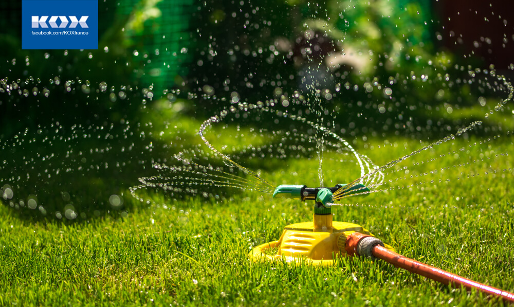 ab2-meilleurs-conseils-de-jardinage-ete-2019-jardin-resistant-chaleur-secheresse-plante-pelouse-fleurs-guide