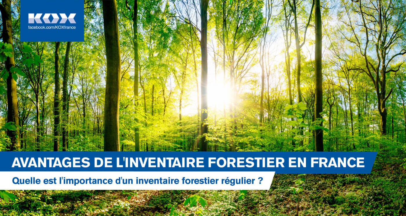 Avantages de l&#8217;inventaire forestier en France: Quelle est l&#8217;importance d&#8217;un inventaire forestier rgulier ?