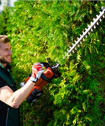 Homme en tenue de travail verte taillant une haie dense et verte avec un taille-haie lectrique.