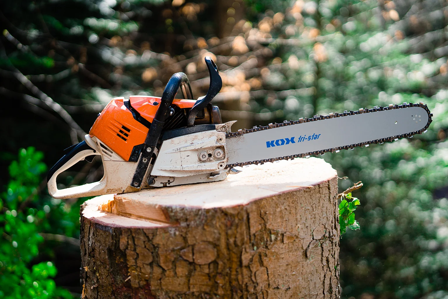 Trononneuse quipe d’un guide KOX tri-star et d’une chane pose sur une souche frachement coupe en fort.