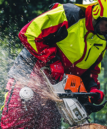 Ein Mann in rot-gelber Forstkleidung steht mit Helm im Wald und h�lt eine Motors�ge.
