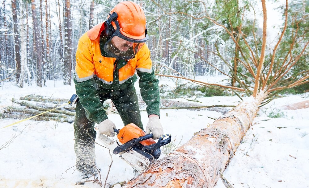 201019_KOX_Blog_November_DE_4-1536x816