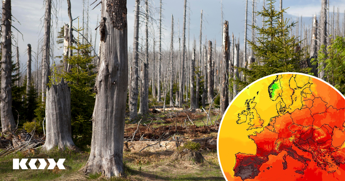 5 faits relatifs au dprissement des forts 2.0 en Europe &#8211; et que pouvons-nous faire  ce sujet ?