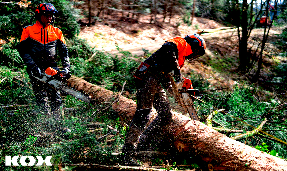 Conseil pour la scurit lors de l'utilisation d’une trononneuse