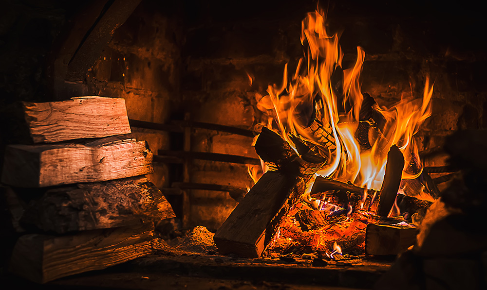 bois-source-bioenergie-contribution-environnementale-combustible-materiau-de-construction-foret-gestion