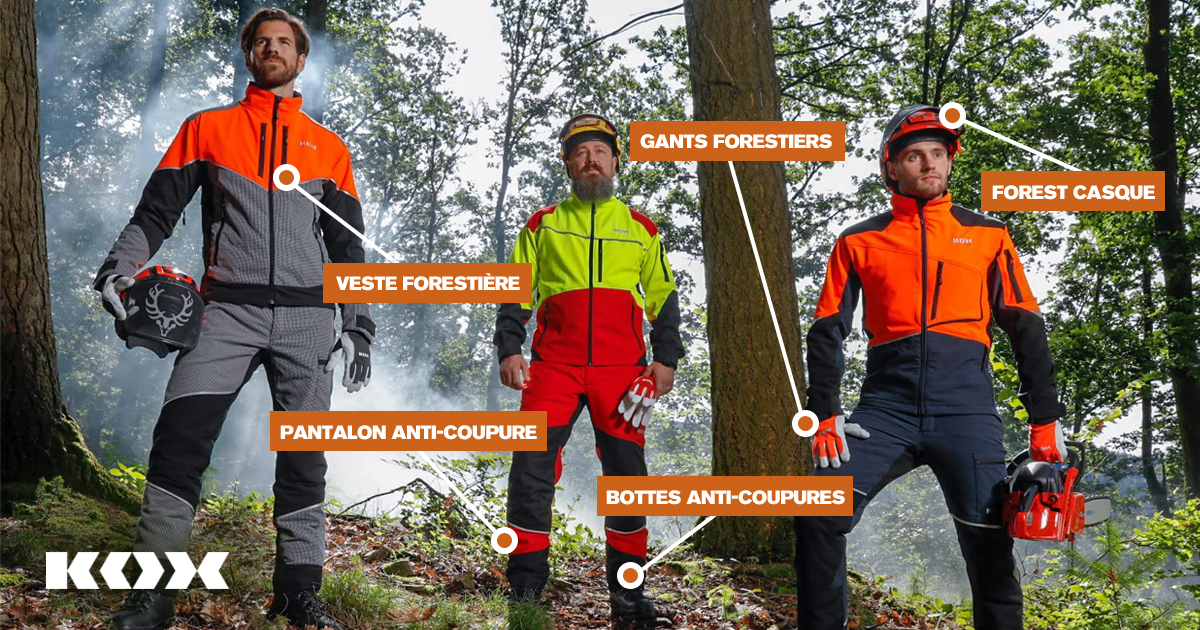 Scurit lors de travaux forestiers : 5 conseils afin d'viter les accidents en fort