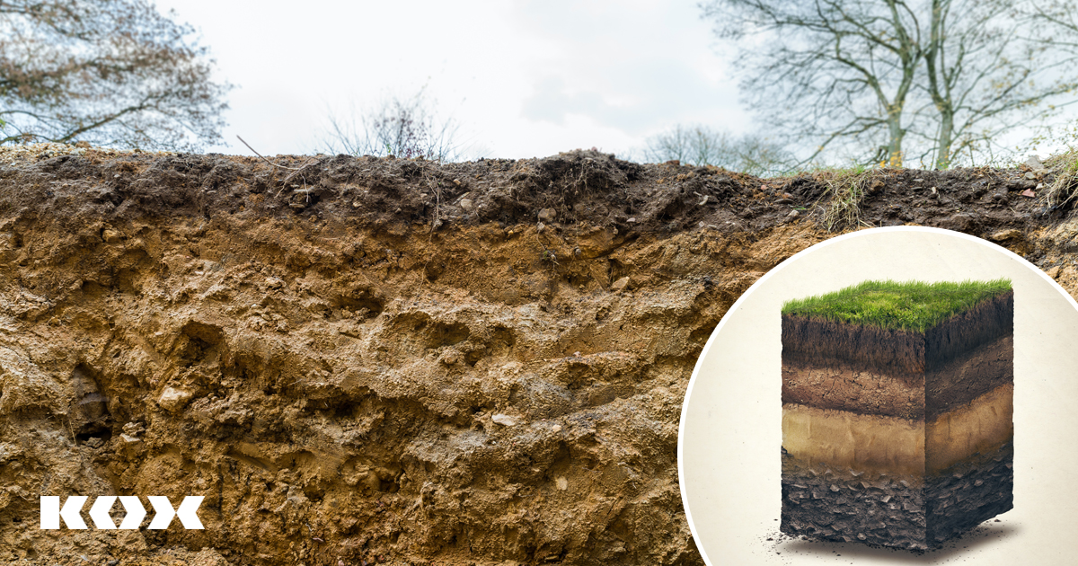 Les forts s’asschent de plus en plus