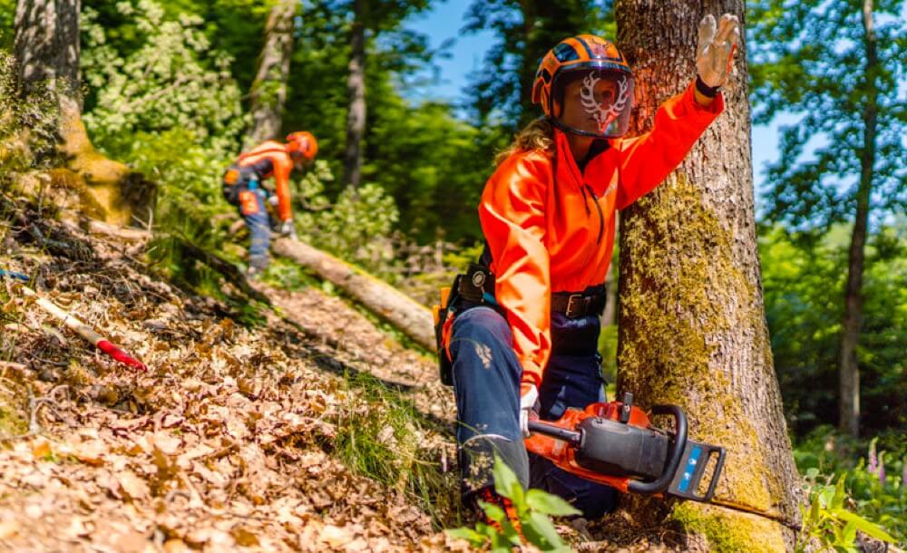 LES FEMMES BCHERONNES