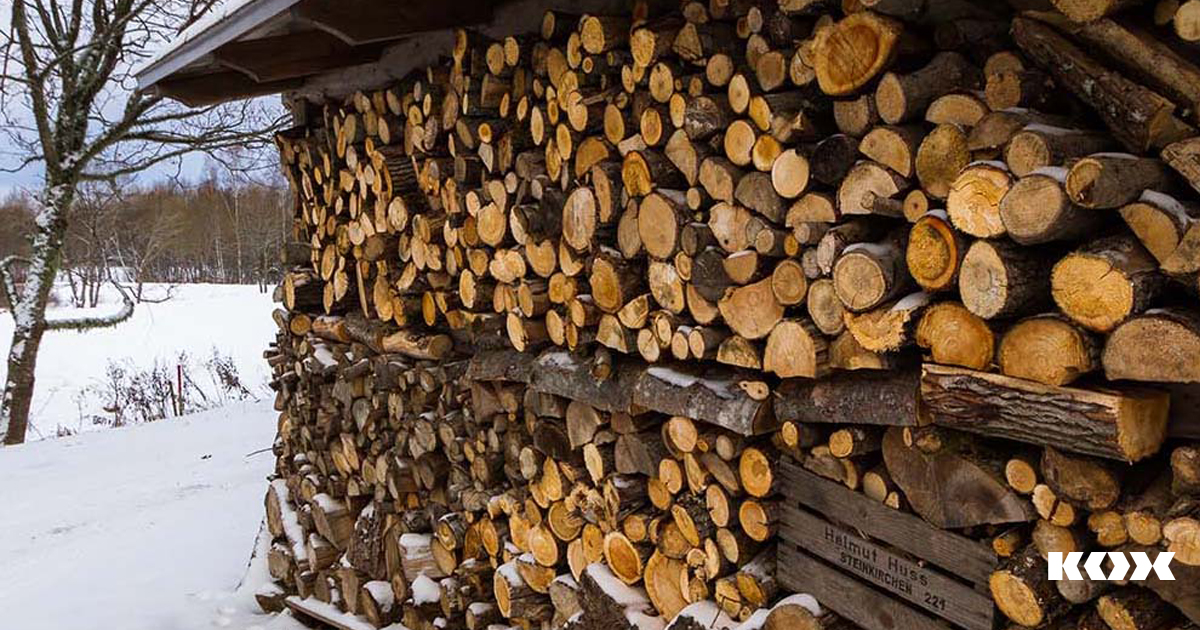 Conseils pour stocker correctement le bois de chauffage et  propos des essences de bois convenant le mieux pour tre brles