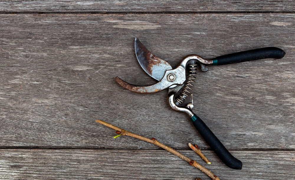 200415_KOX_Blog_April_FR-1536x816