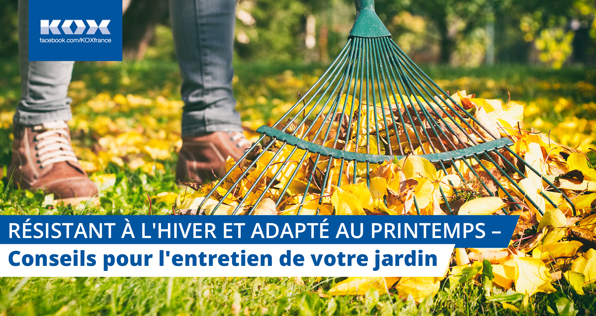 Rsistant  l'hiver et en forme pour le printemps - Conseils pour l'entretien de votre jardin