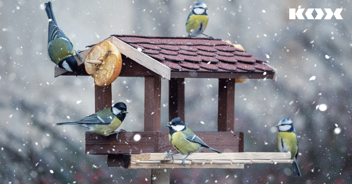 Installer des nichoirs