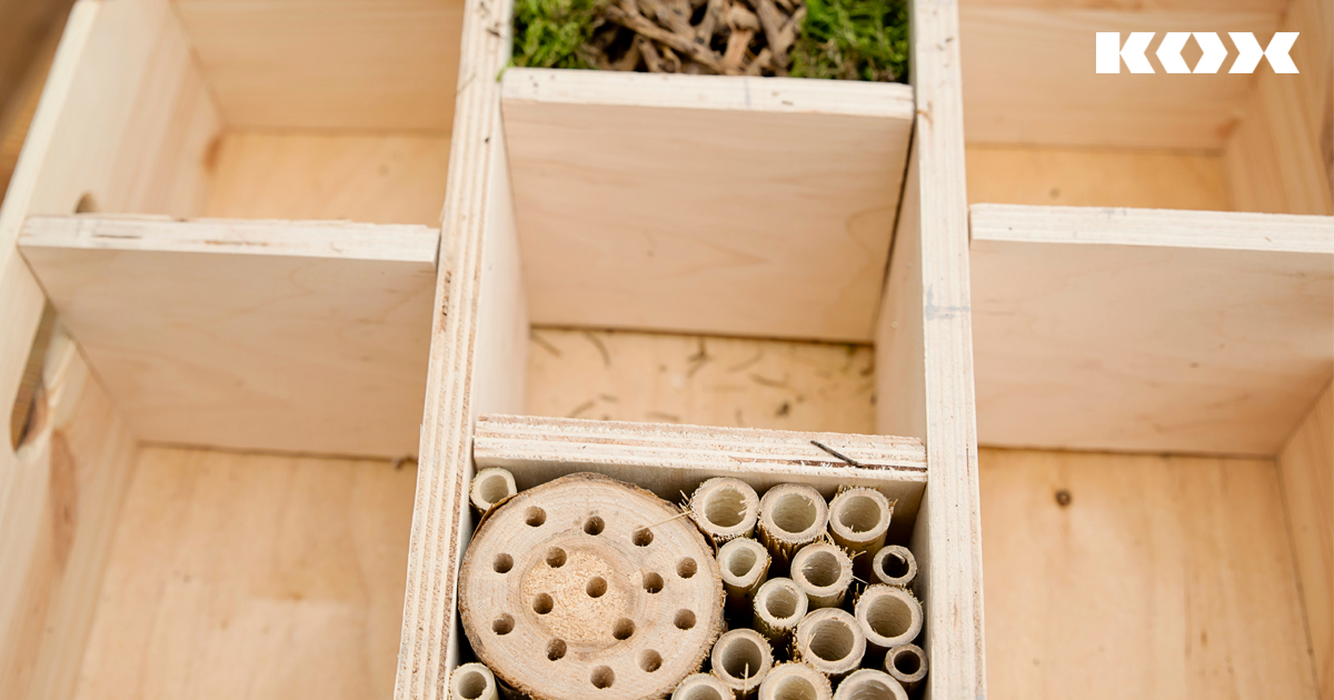 Structure de base pour un h�tel � insectes et abeilles