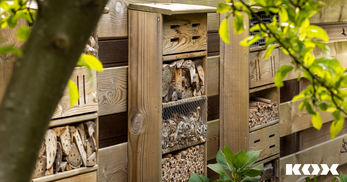 Protection de la nature dans le jardin