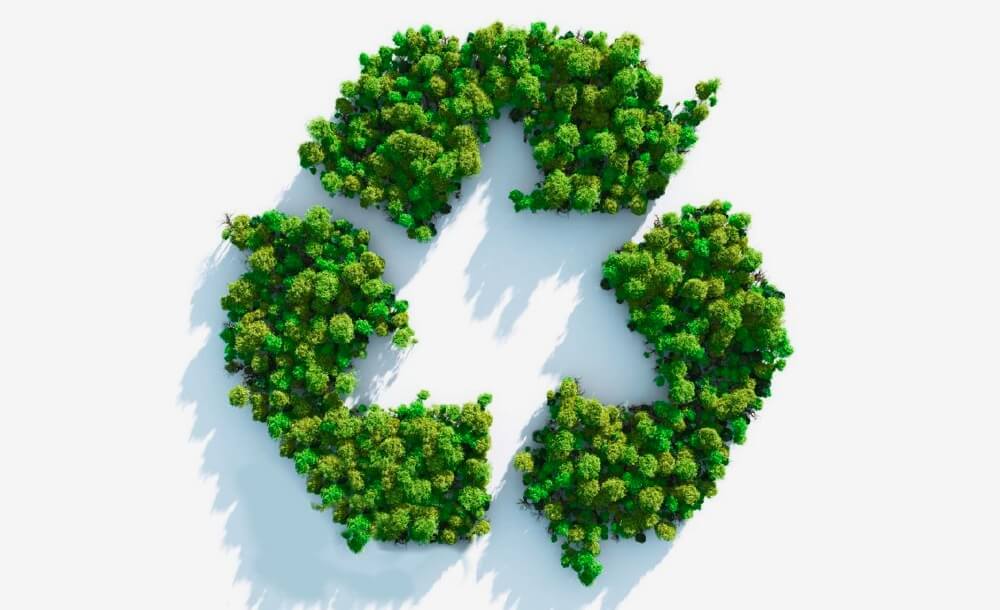 liminer les dchets de jardinage correctement