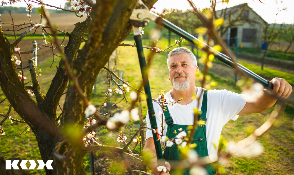 Appareils de jardinage les hache et hachette