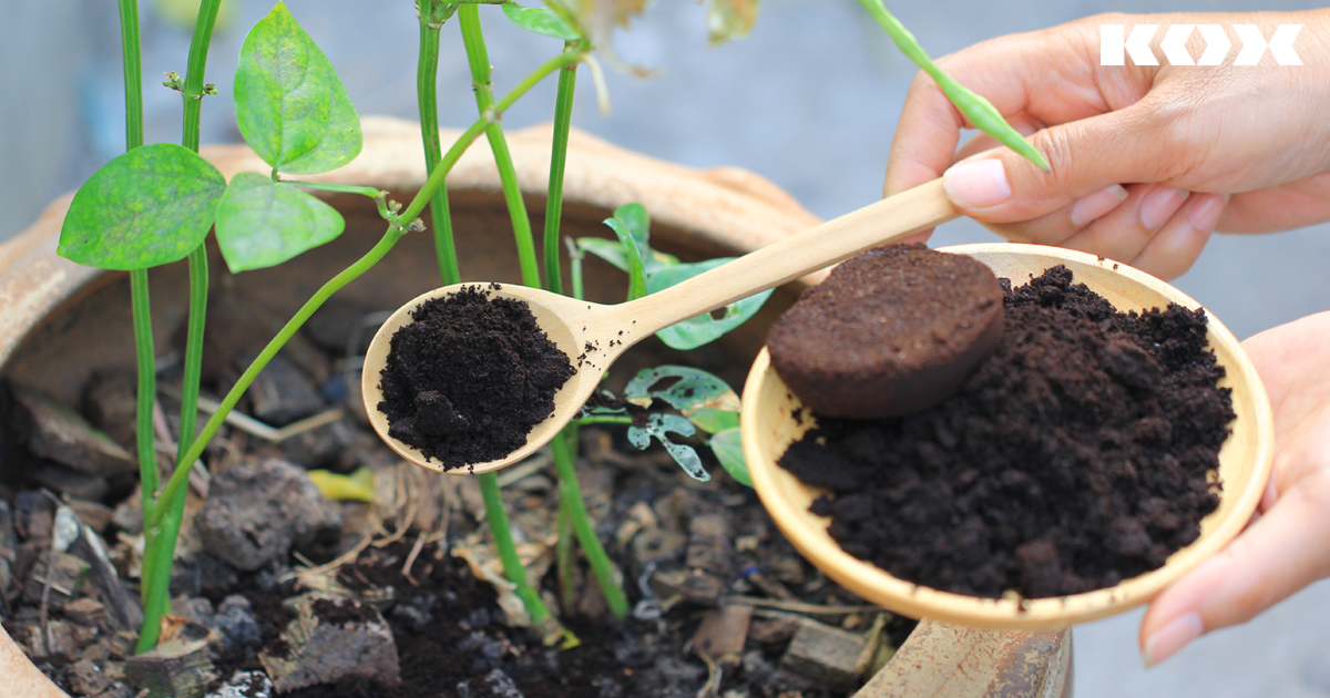 Saupoudrer de marc de caf