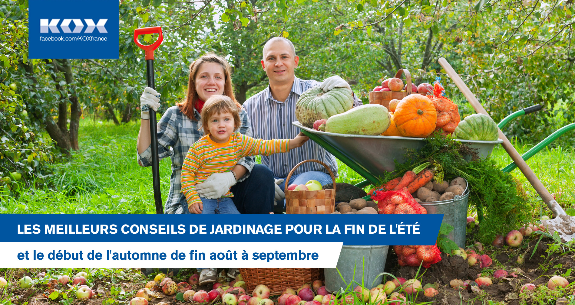 Les meilleurs conseils de jardinage pour la fin de l't et le dbut de l'automne de fin aot  septembre