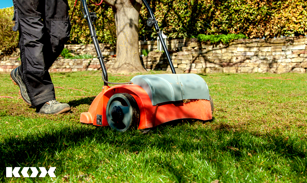 Conseil reverdir la pelouse