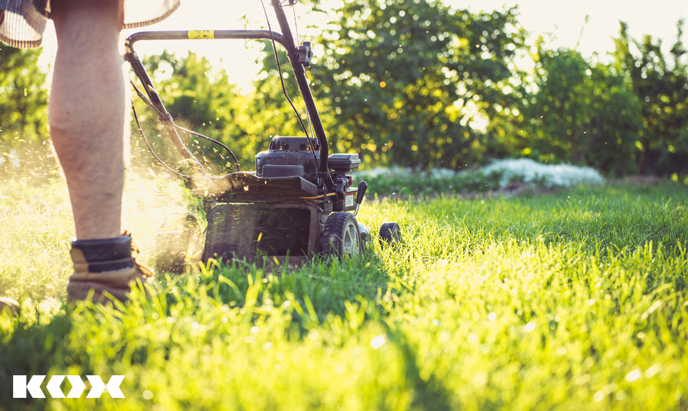 Appareils de Jardinage la tondeuse