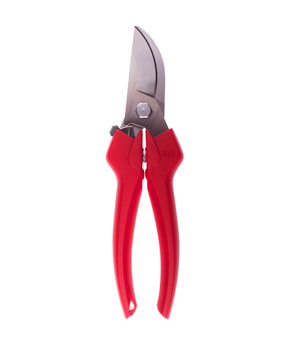 Scateur de vendange Felco 300, XXFELCO-300